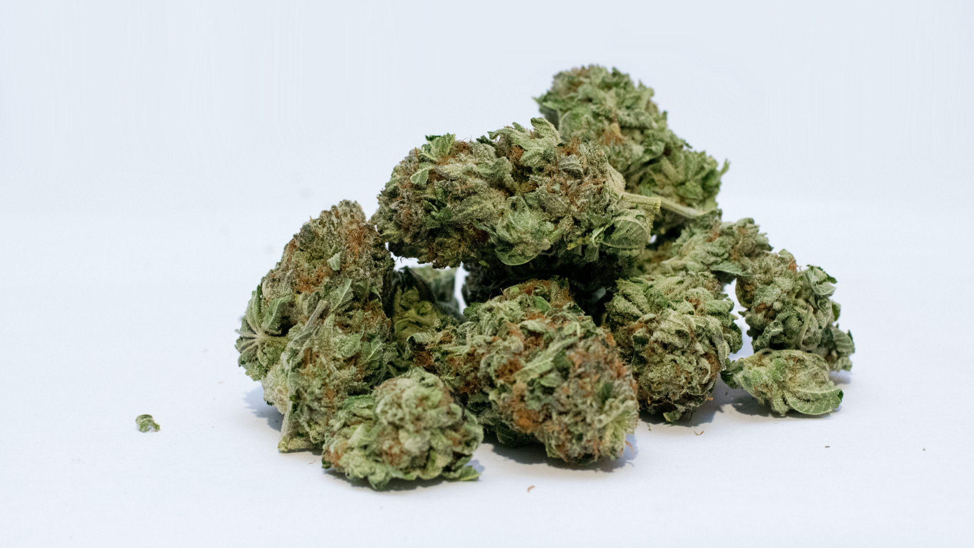 BAGAIMANA LEGALITAS GANJA? BAGAIMANA LEGALITAS GANJA?