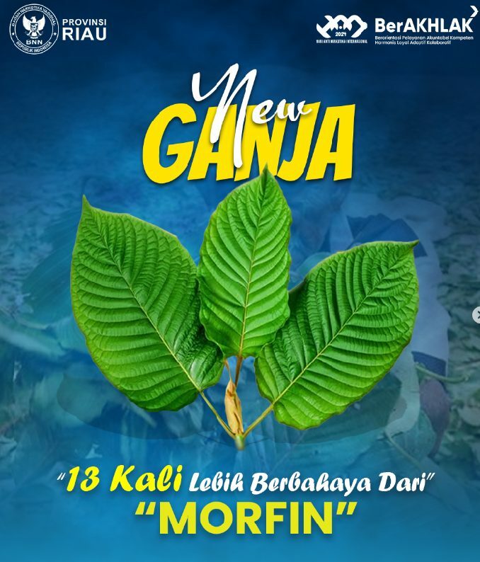 "New Ganja" Disebut 13 Kali Lebih Berbahaya dari Morfin “New Ganja” Disebut 13 Kali Lebih Berbahaya dari Morfin