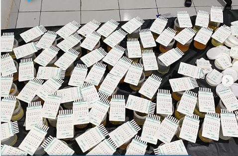 BNN Provinsi Riau Lakukan Tes Urine pada Karyawan PT. Ganda Buanindo: Langkah Proaktif untuk Kesejahteraan dan Produktivitas